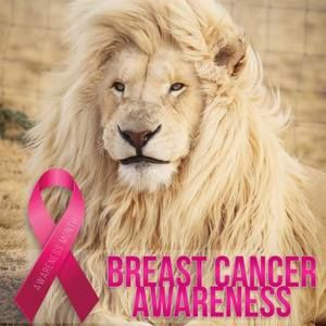 Meet your Posher, Cynthia